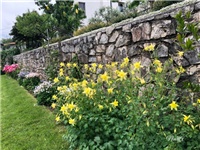 e0b5f071-20190506 Pakujci 6.jpg